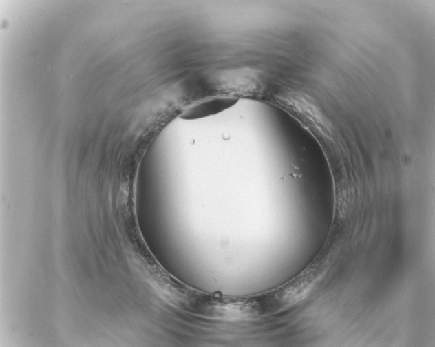 X0000086990365200704231851