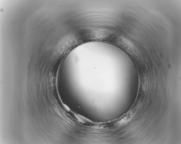 X0000086990366200704231851