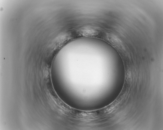 X0000086990367200704231851