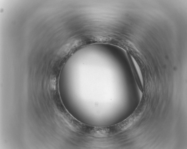 X0000086990368200704231851