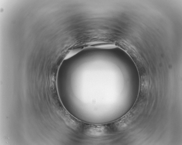 X0000086990369200704231851