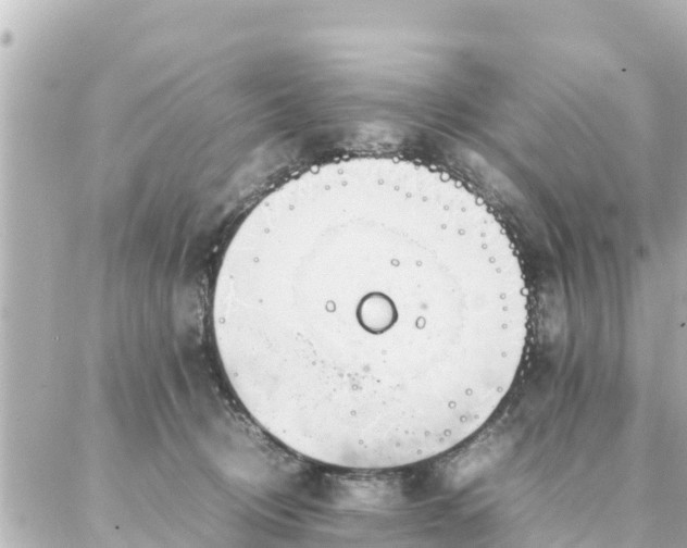 X0000086990370200704231851