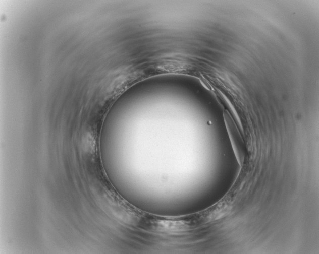 X0000086990371200704231851