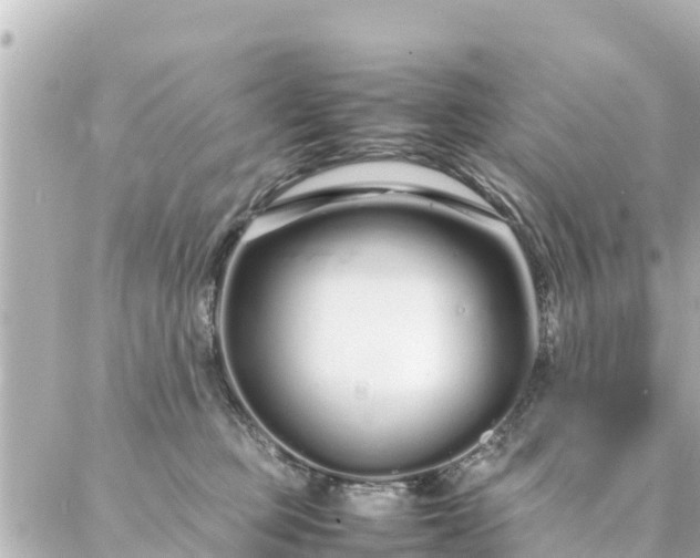 X0000086990373200704231851