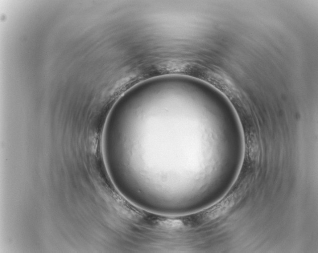 X0000086990374200704231851