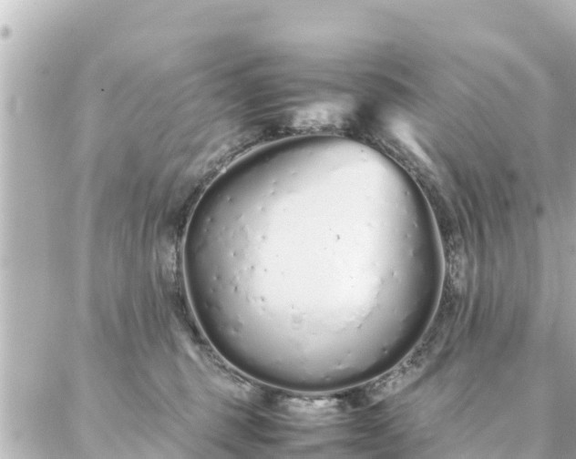 X0000086990375200704231851