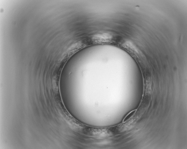 X0000086990377200704231851