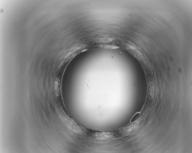 X0000086990378200704231851