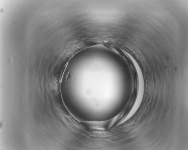 X0000086990380200704231851