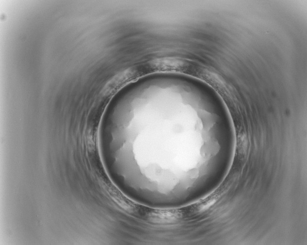 X0000086990381200704231851