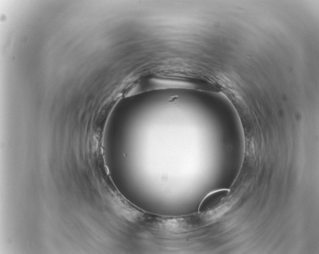 X0000086990382200704231851