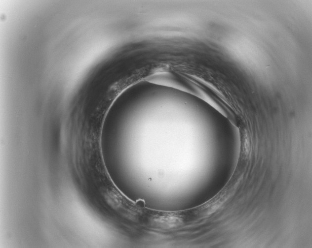 X0000086990383200704231851