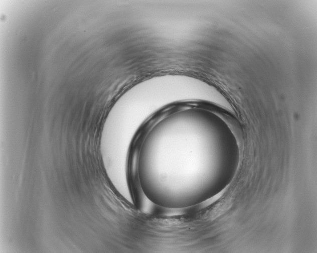 X0000086990384200704231851