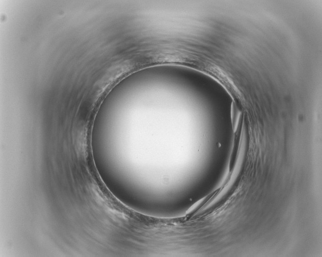 X0000086990386200704231850