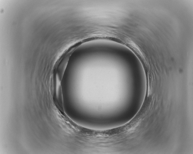 X0000086990387200704231850