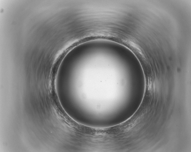 X0000086990388200704231850