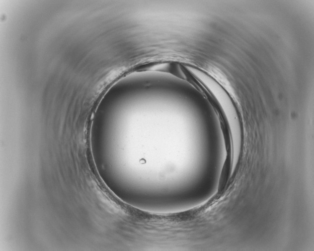 X0000086990389200704231850