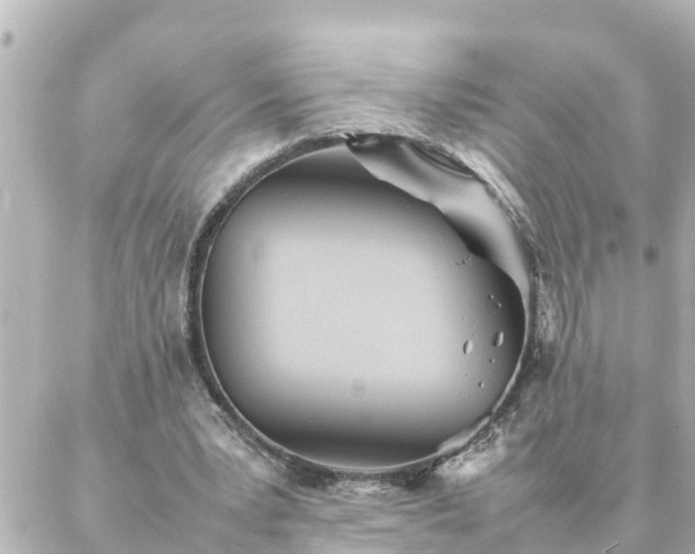 X0000086990391200704231850