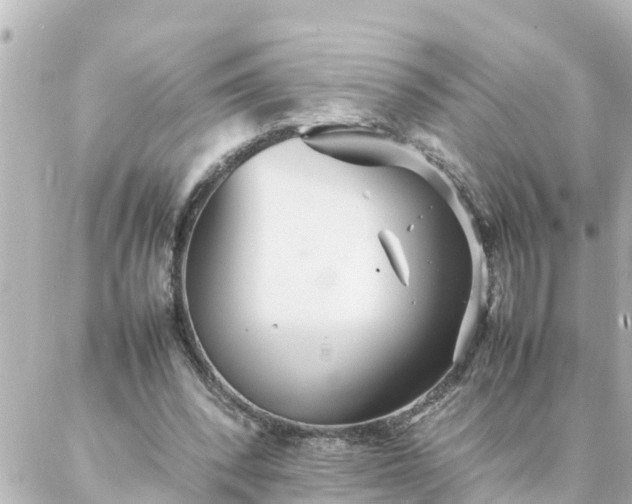 X0000086990392200704231850