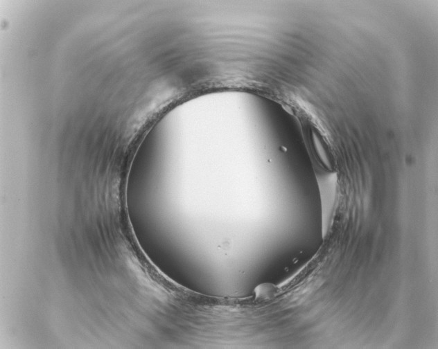 X0000086990394200704231850