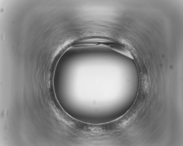 X0000086990395200704231850