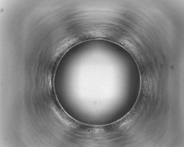 X0000086990398200704231850