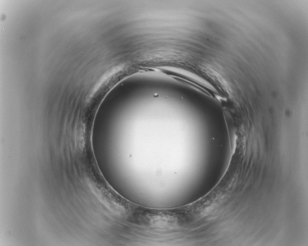 X0000086990400200704231850