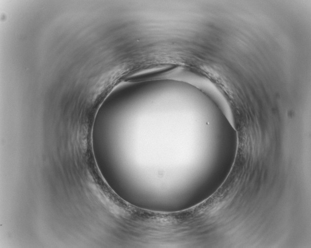 X0000086990402200704231850