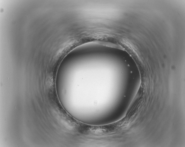 X0000086990407200704231850