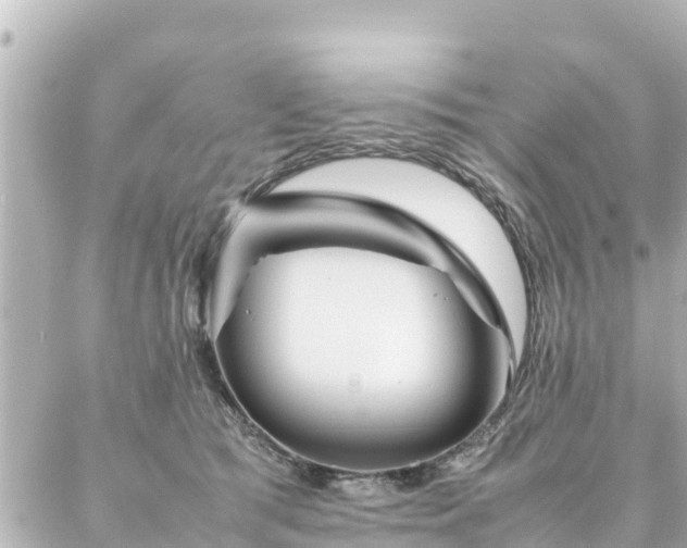 X0000086990417200704231850