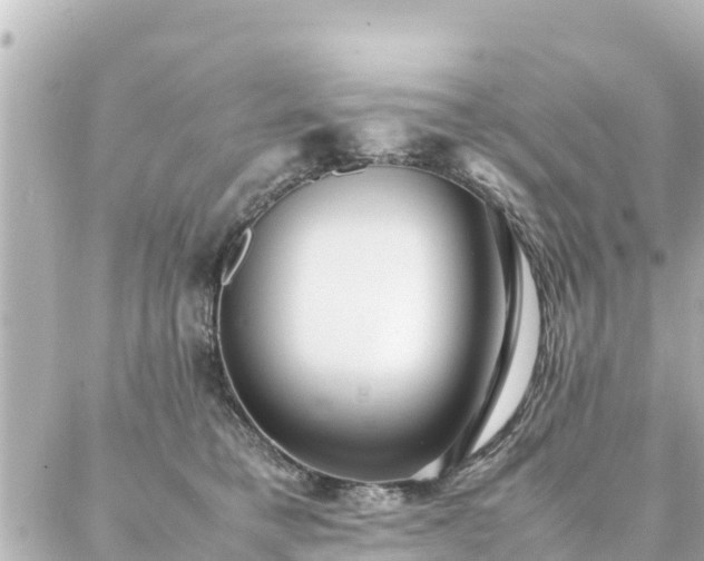 X0000086990421200704231850