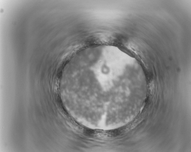 X0000086990423200704231849