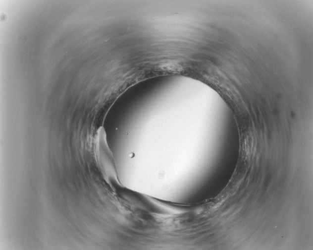 X0000086990424200704231849