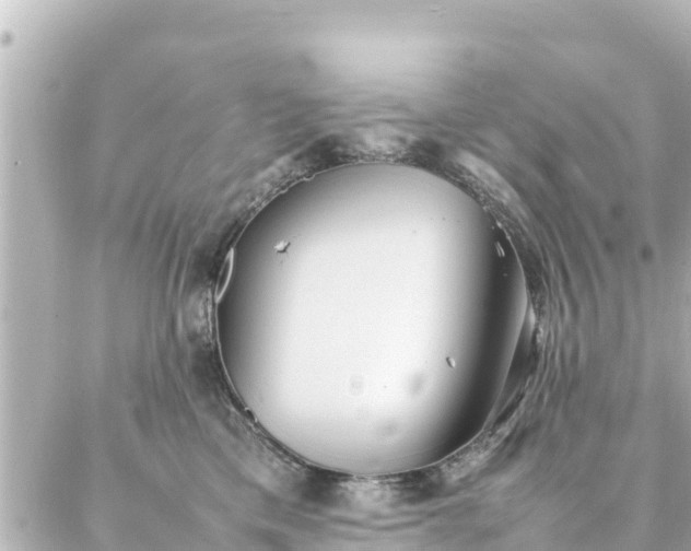 X0000086990425200704231849