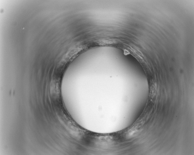 X0000086990426200704231849