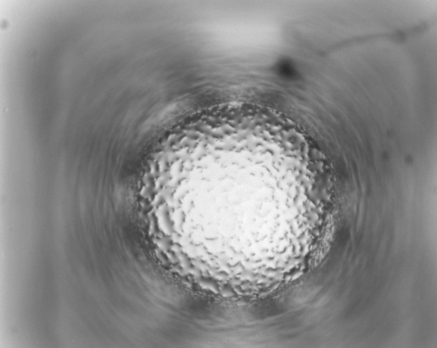 X0000086990427200704231849