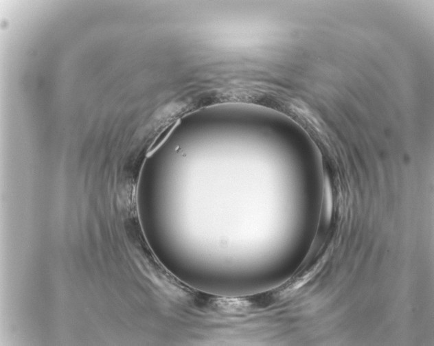 X0000086990429200704231849