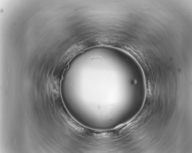 X0000086990430200704231849