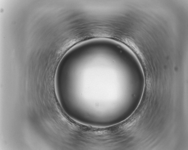 X0000086990433200704231849