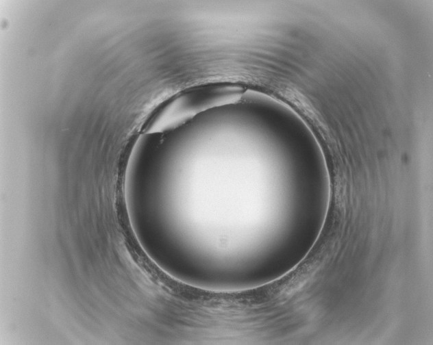 X0000086990434200704231849