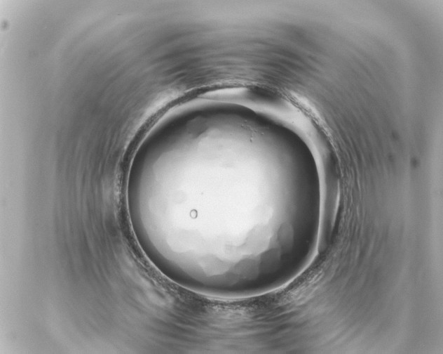 X0000086990435200704231849