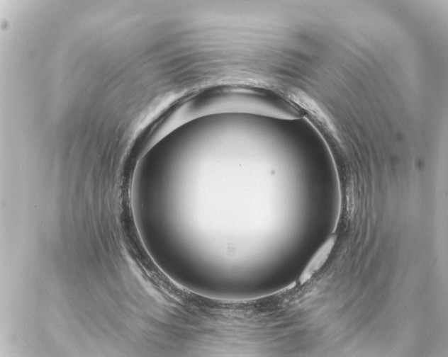 X0000086990436200704231849