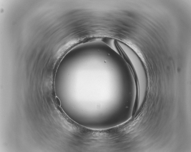 X0000086990437200704231849