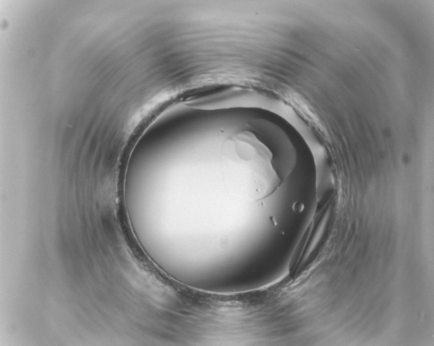 X0000086990438200704231849