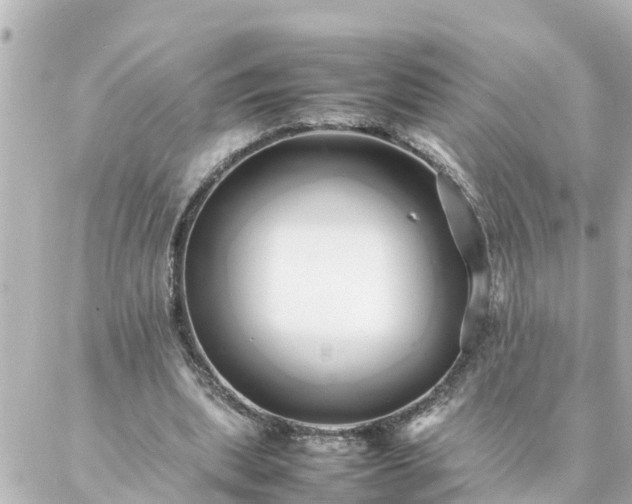 X0000086990439200704231849