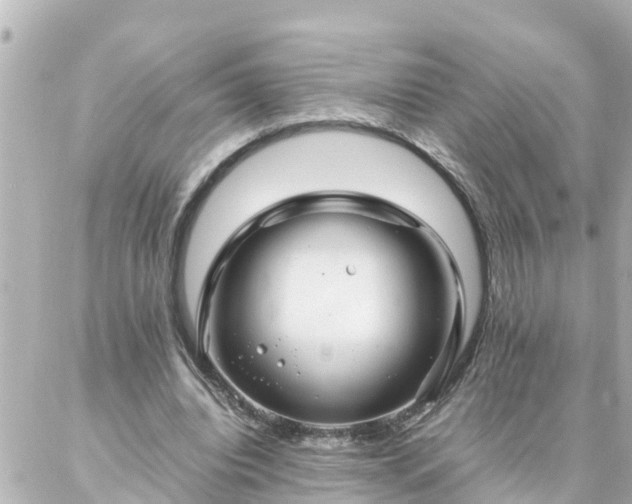 X0000086990440200704231849