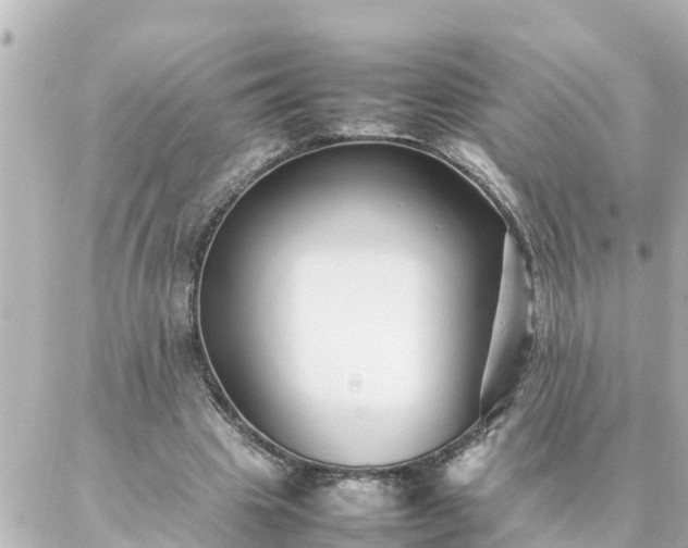 X0000086990441200704231849