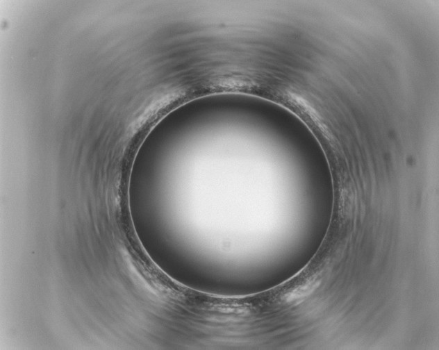 X0000086990443200704231849