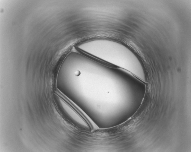 X0000086990444200704231849