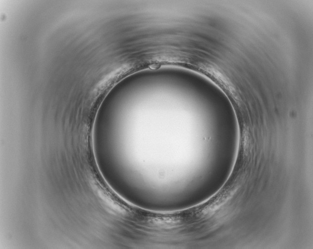 X0000086990445200704231849